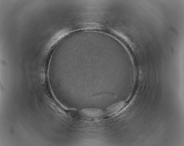 X0000090931407200708061554