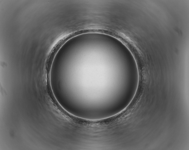X0000090931408200708061554