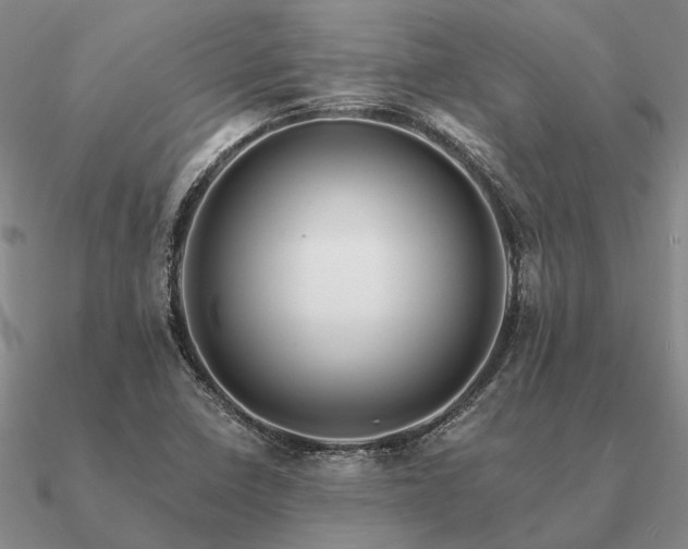 X0000090931410200708061554