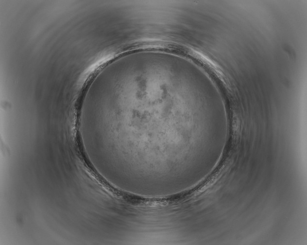 X0000090931411200708061554