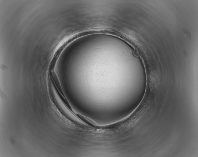 X0000090931412200708061554