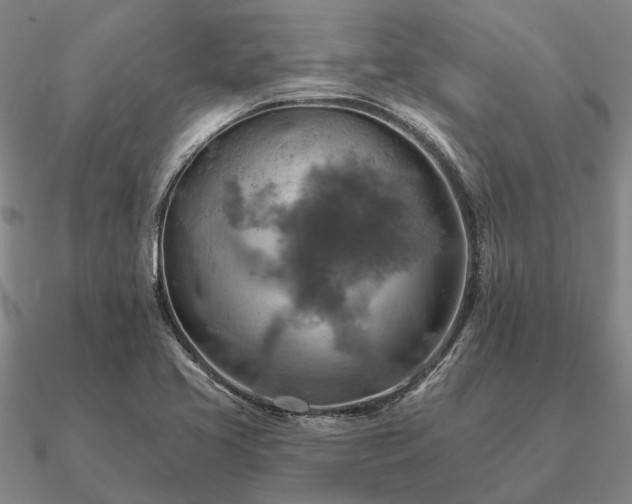 X0000090931413200708061554