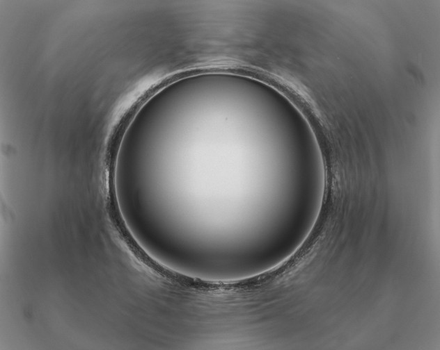 X0000090931414200708061554
