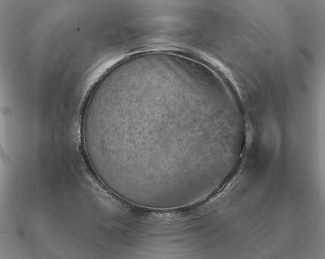 X0000090931415200708061554