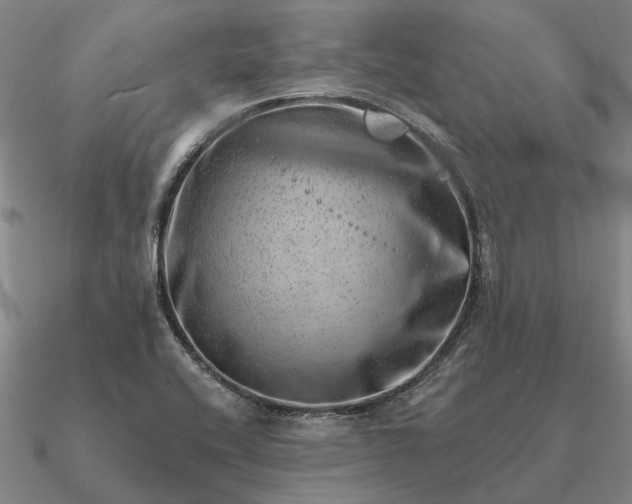 X0000090931416200708061554