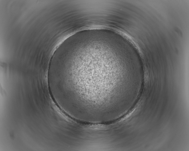 X0000090931417200708061554