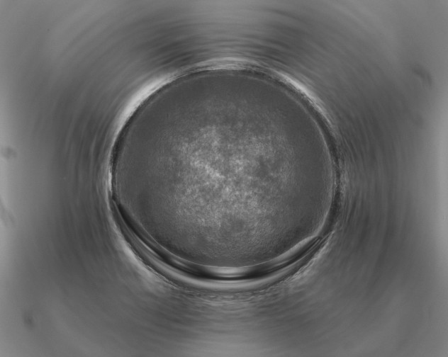 X0000090931418200708061554