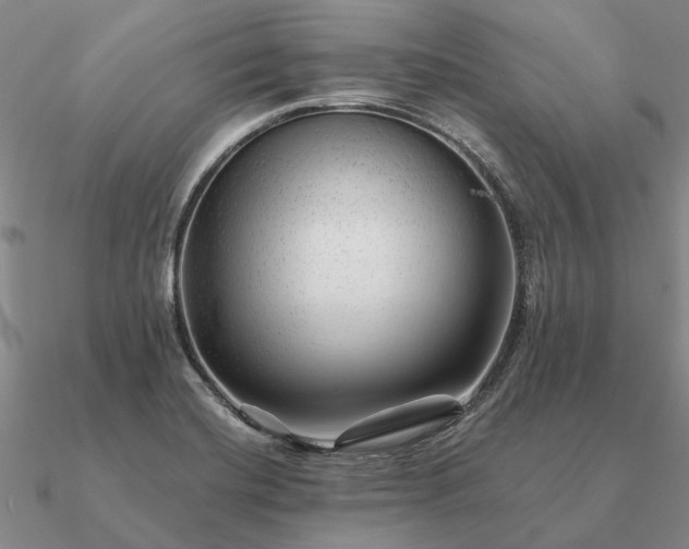 X0000090931420200708061554