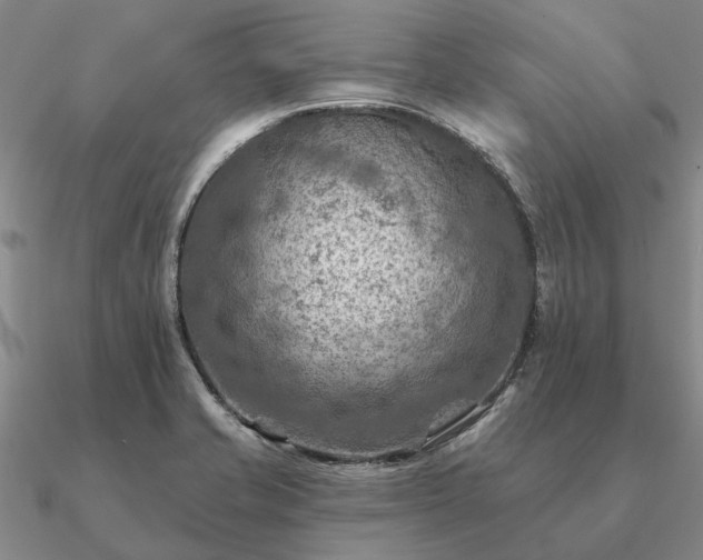 X0000090931421200708061554