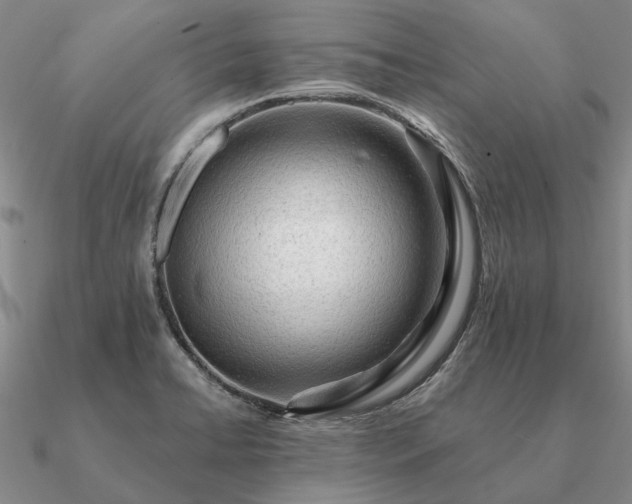 X0000090931422200708061554