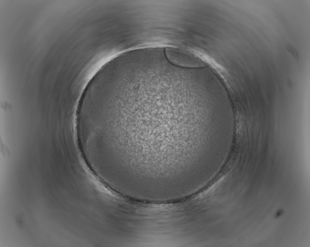 X0000090931423200708061554
