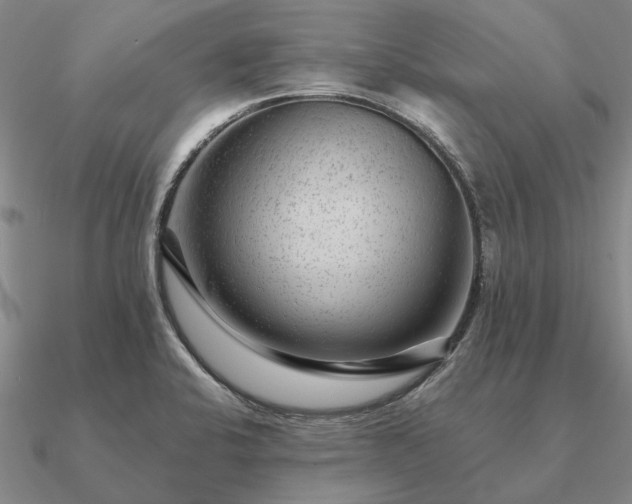 X0000090931424200708061554