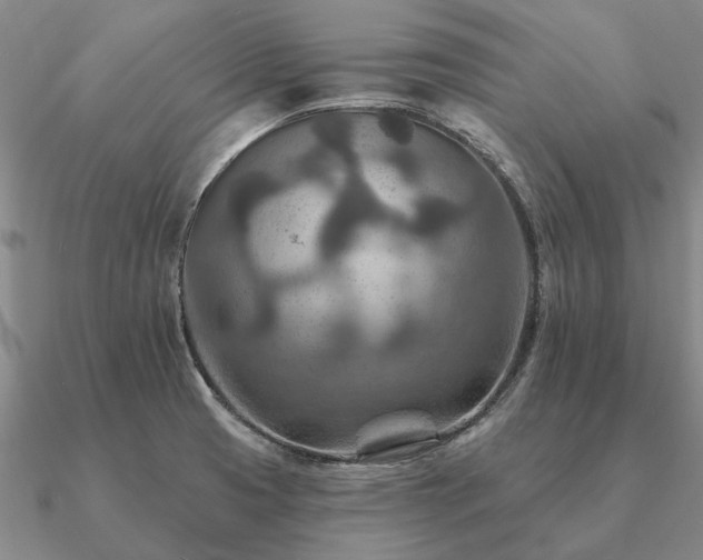X0000090931425200708061554