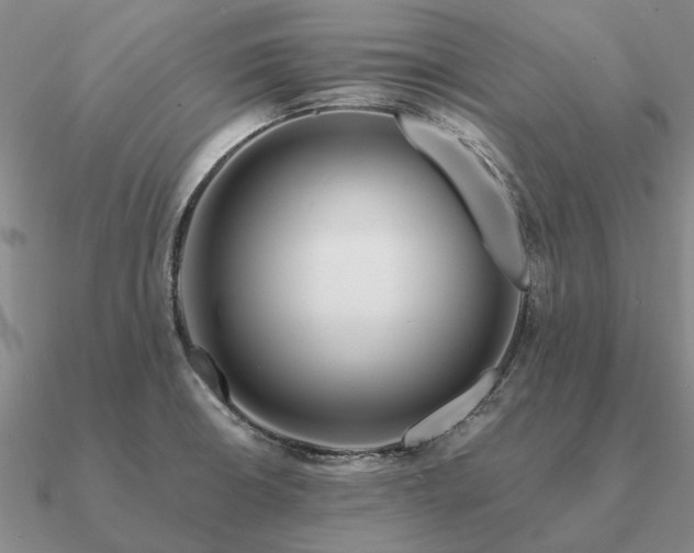 X0000090931426200708061554