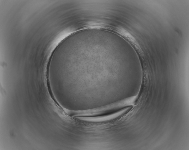 X0000090931427200708061554