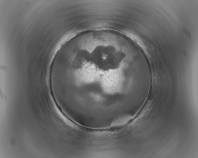 X0000090931429200708061554