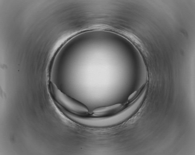 X0000090931430200708061554