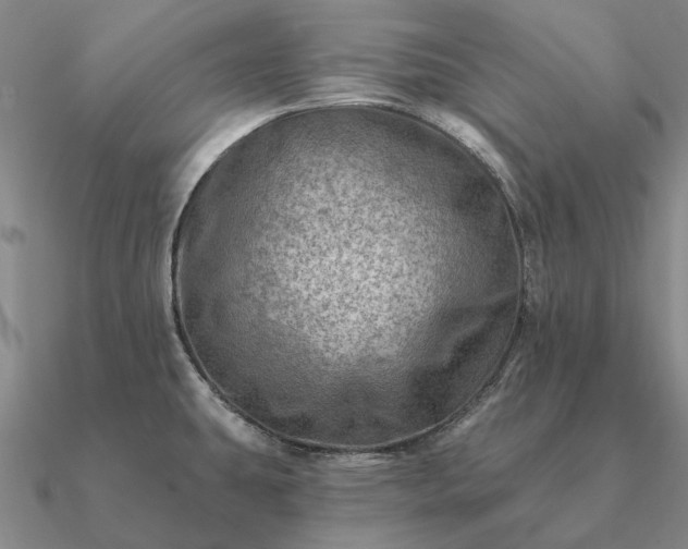 X0000090931431200708061554