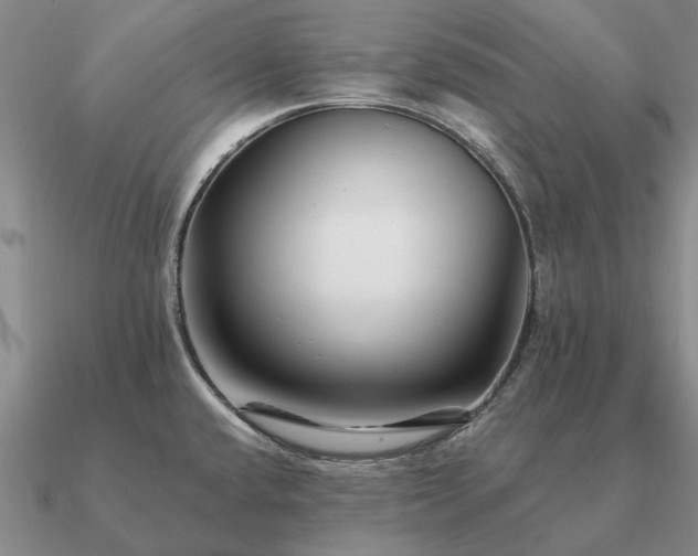X0000090931432200708061554