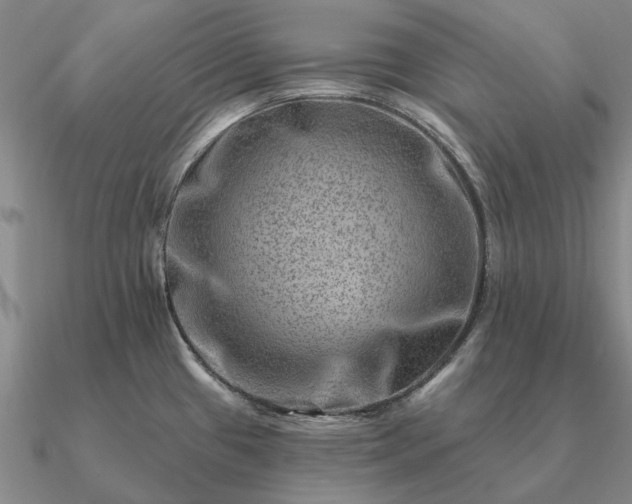 X0000090931433200708061554