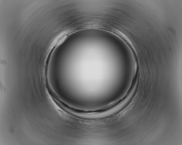 X0000090931434200708061554