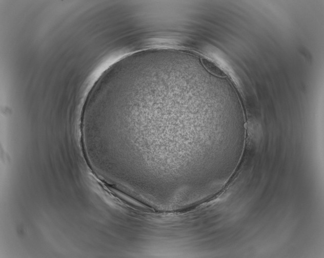 X0000090931435200708061554