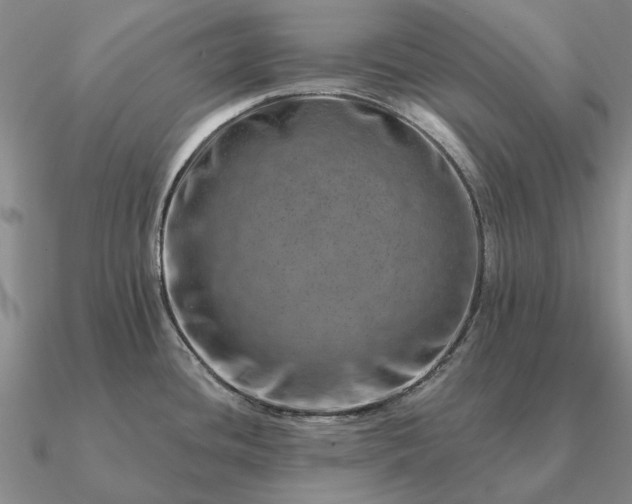 X0000090931436200708061554