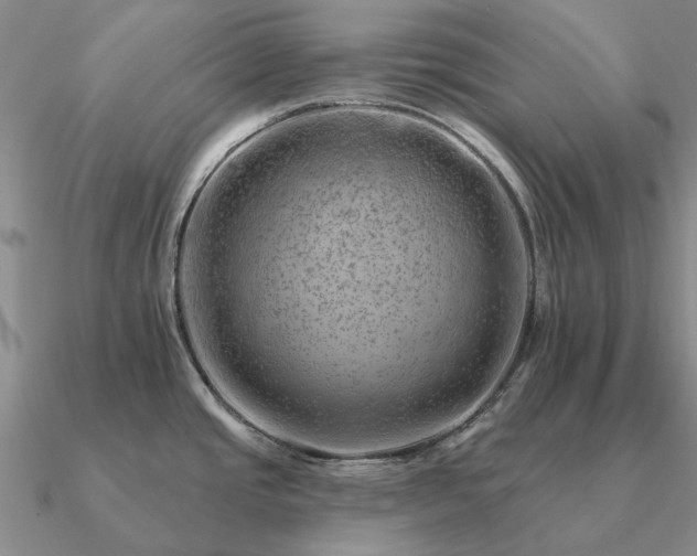 X0000090931437200708061554