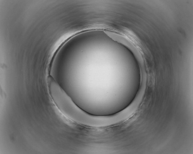 X0000090931438200708061554
