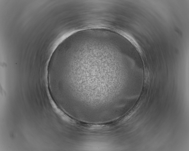 X0000090931439200708061554