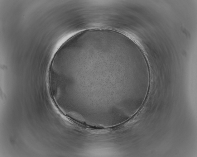 X0000090931440200708061554