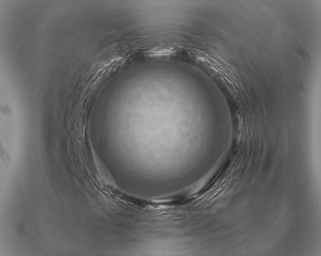 X0000090931441200708061554