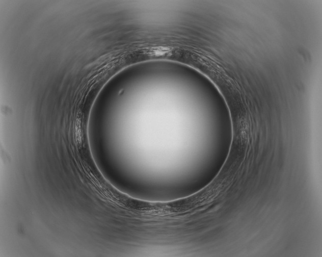 X0000090931442200708061554
