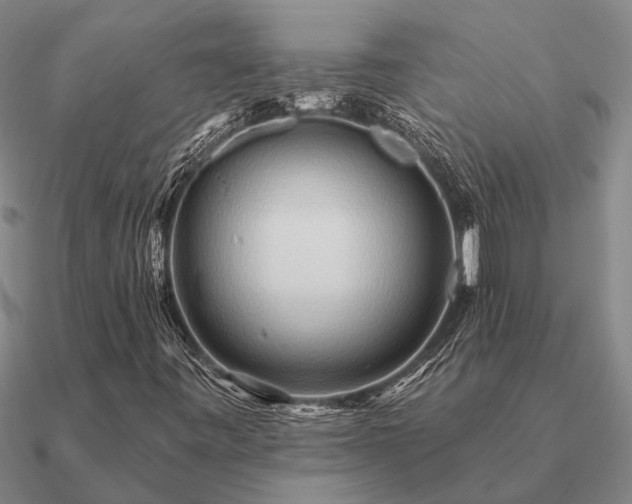 X0000090931443200708061554
