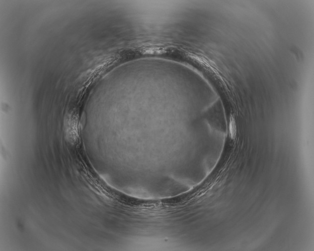X0000090931444200708061554