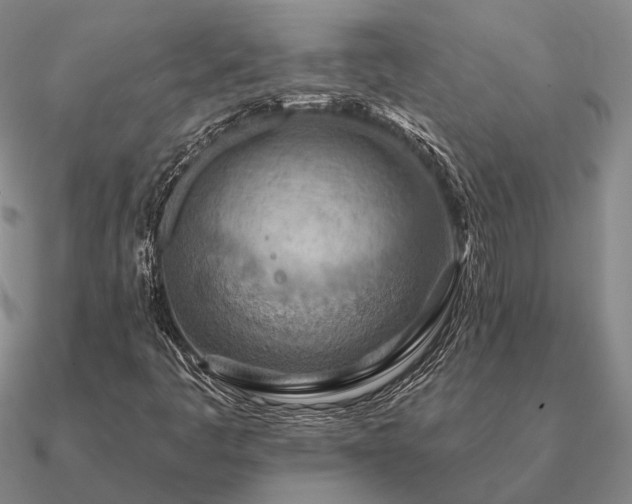 X0000090931445200708061554