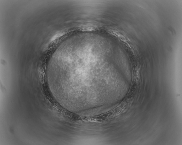 X0000090931446200708061554