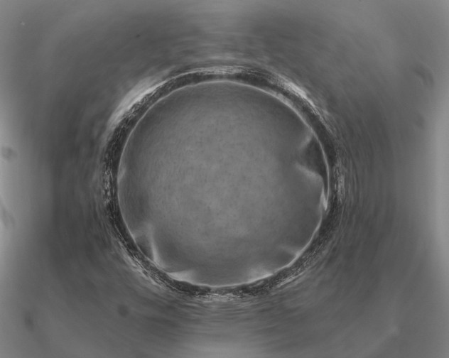 X0000090931448200708061554