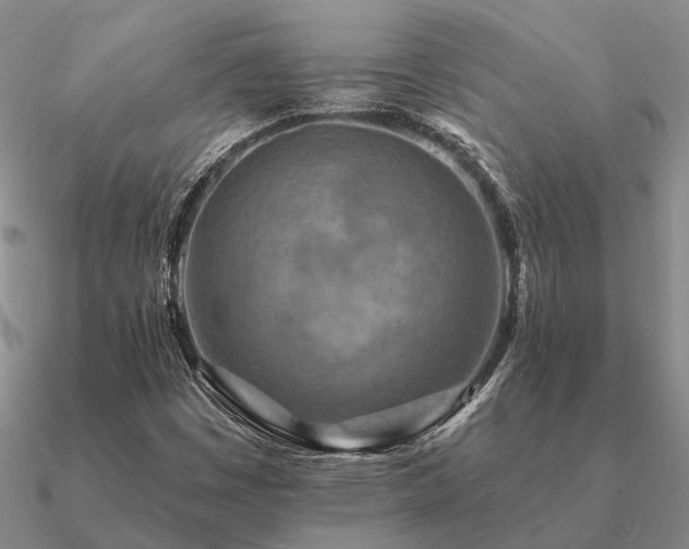 X0000090931449200708061554