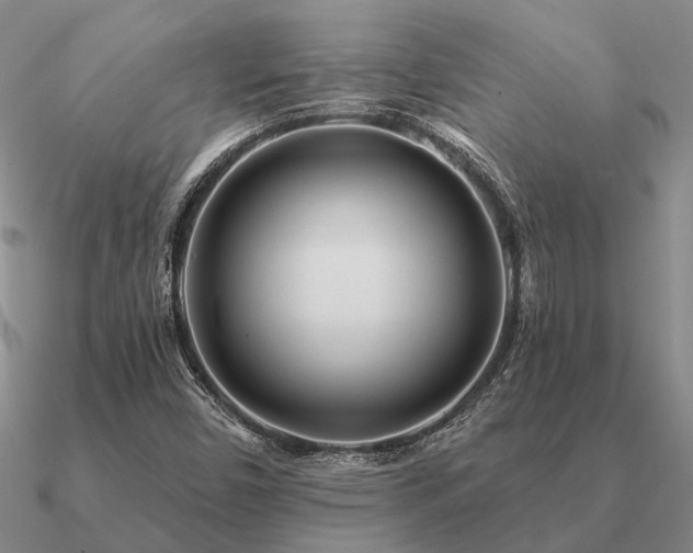 X0000090931450200708061554