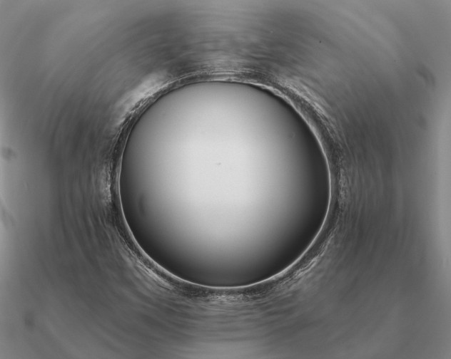 X0000090931451200708061554