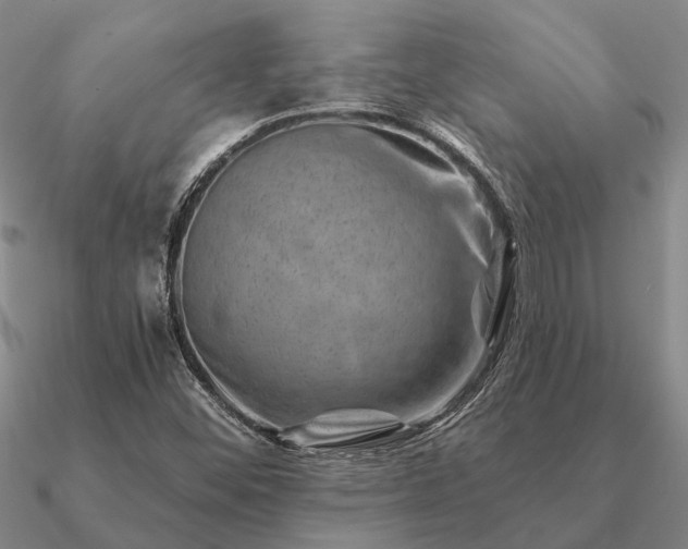 X0000090931452200708061554