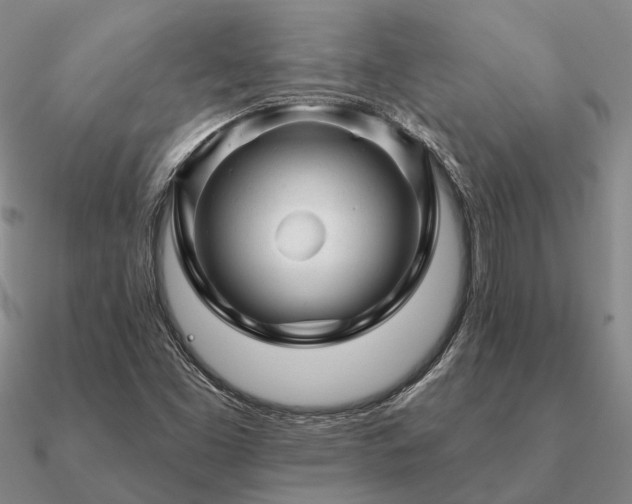 X0000090931453200708061554