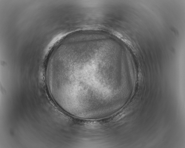 X0000090931454200708061554