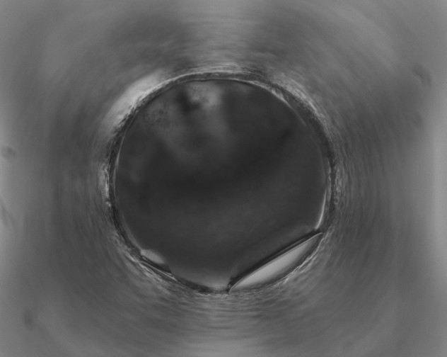 X0000090931455200708061554