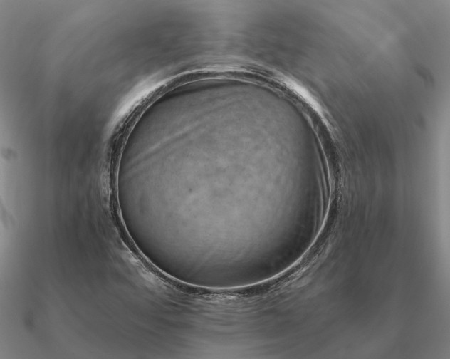 X0000090931456200708061554