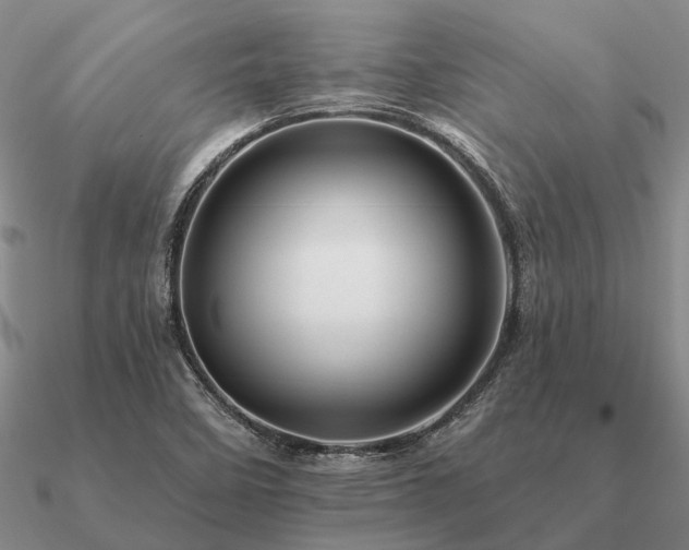 X0000090931458200708061554