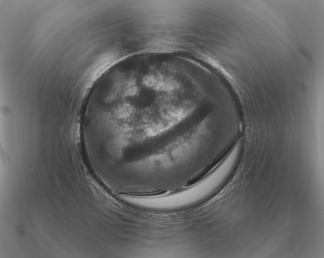 X0000090931459200708061554