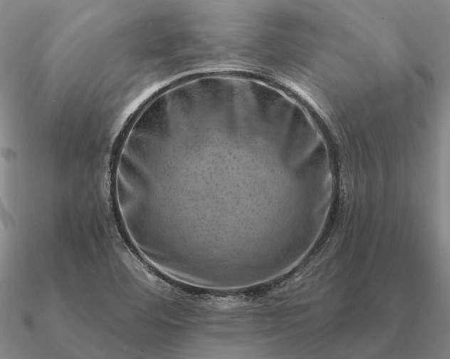 X0000090931460200708061554