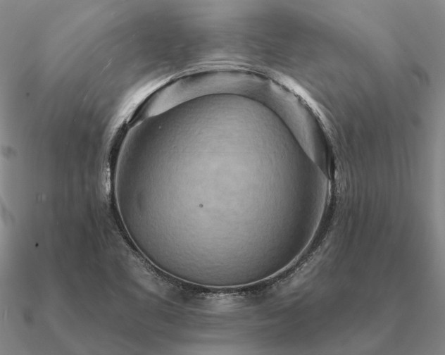 X0000090931461200708061553